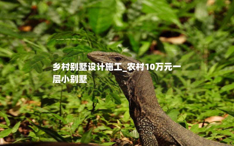 鄉(xiāng)村別墅設(shè)計(jì)施工_農(nóng)村10萬(wàn)元一層小別墅